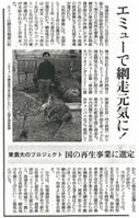 読売新聞　平成20年8月5日号